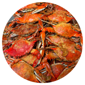 Steamed Blue Crabs - Female
