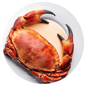 1# Steamed Blue Crabs