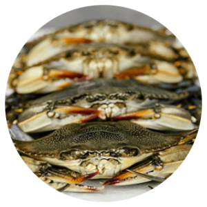 Whole Jumbo Soft Shell Crabs