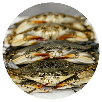 Frozen Whole Jumbo Soft Shell Crabs img